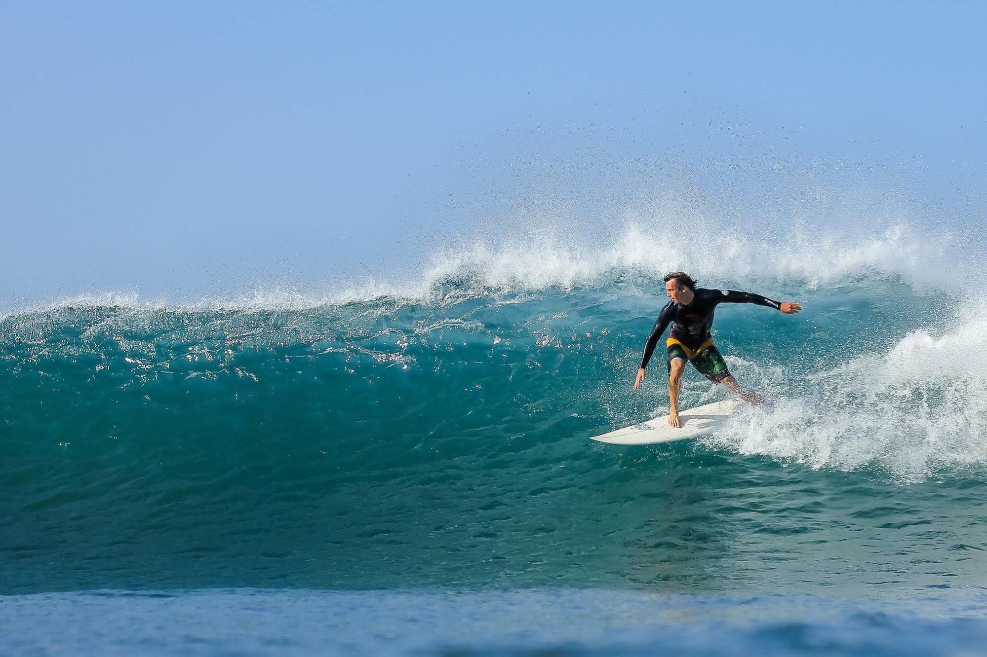 La Negra Surf Hotel Nosara Eksteriør billede