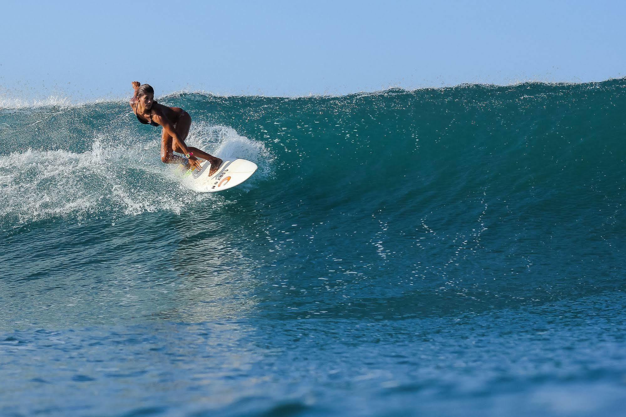 La Negra Surf Hotel Nosara Eksteriør billede